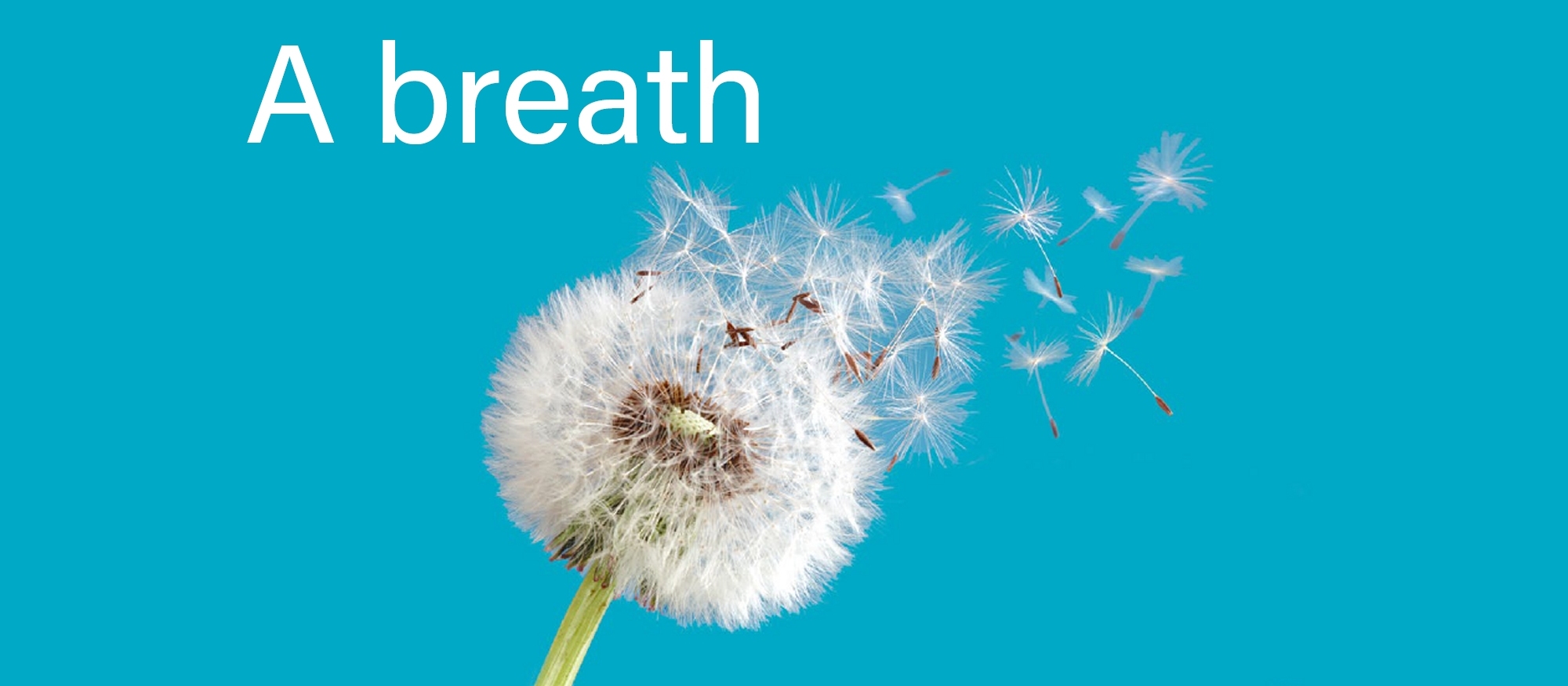 Sanitary Bins Wiltshire